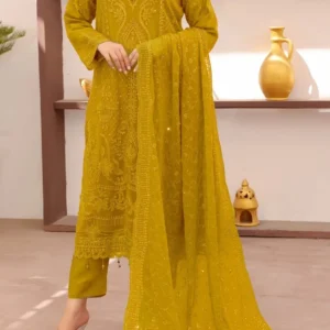 Pakistani Party Wear Salwar Kameez